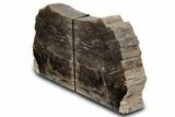 Polished Petrified Wood Bookends - Washington #382172-1